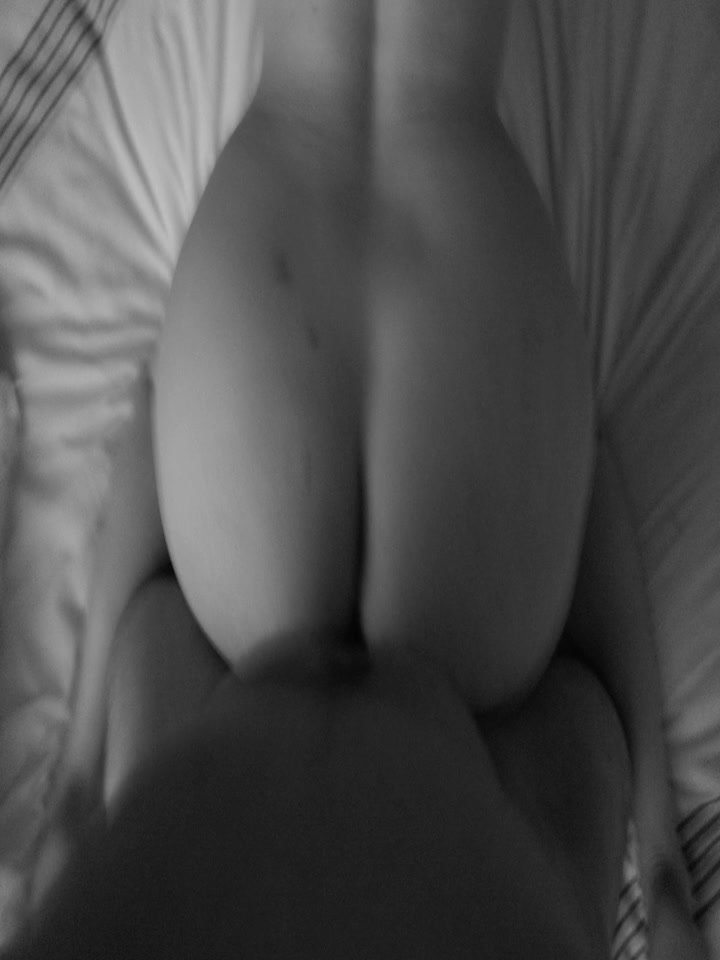 rose_14